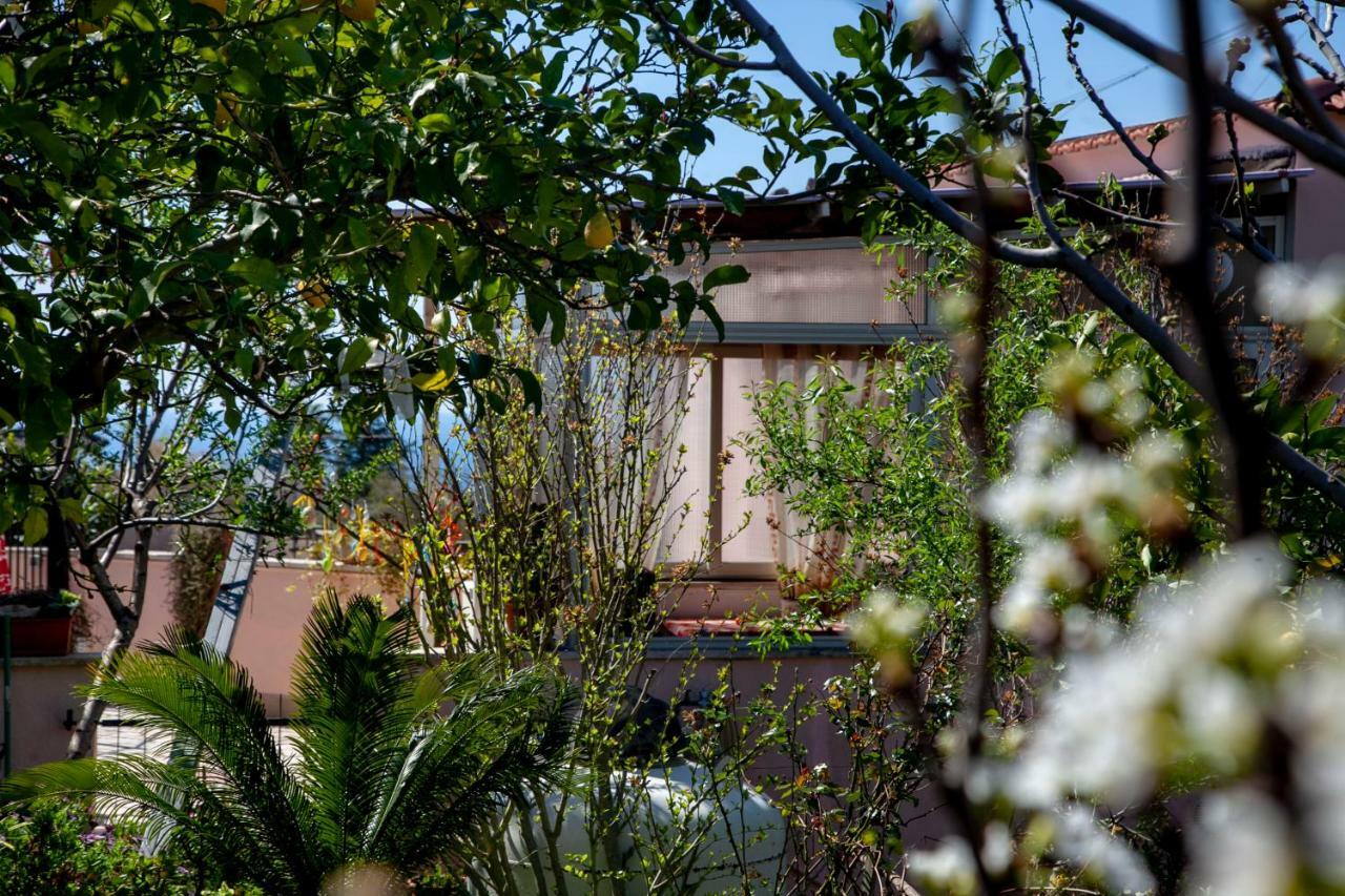 Villa Panoramica Терачина Стая снимка